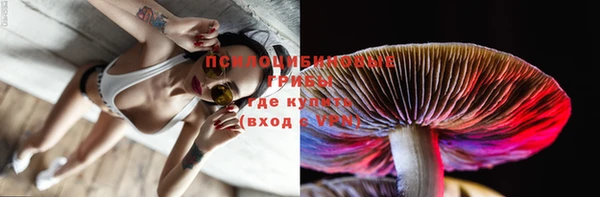 2c-b Михайловка