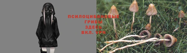 дурь Мегион