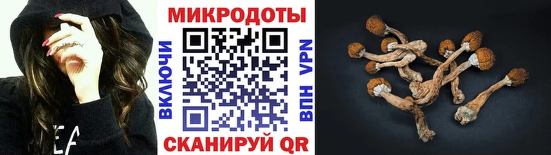 Купить закладки Карабулак Галлюциногенные грибы GOLDEN TEACHER
